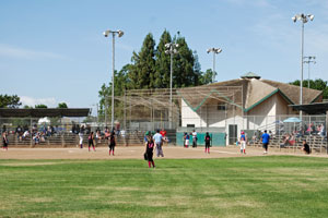Baseball at Louis PRK, Stockton, CA