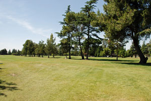 Elkhorn Golf Club,  Stockton, CA