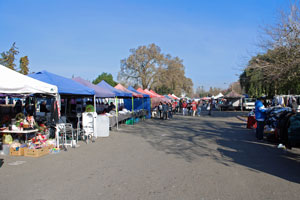 Delta College Flea Market, Stockton, CA